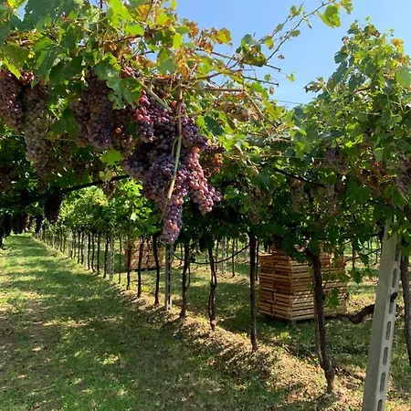 Casa Rosetta Valpolicella San Pietro in Cariano