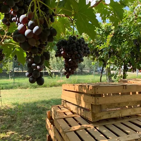 Casa Rosetta Valpolicella * San Pietro in Cariano
